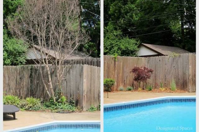Poolside Landscape Before and After