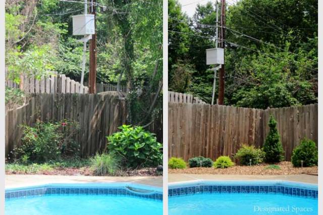 Poolside Landscape Before and After