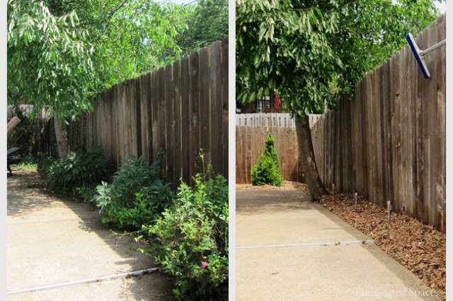 Poolside Landscape Before and After
