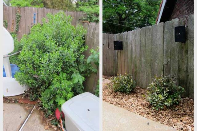 Poolside Landscape Before and After