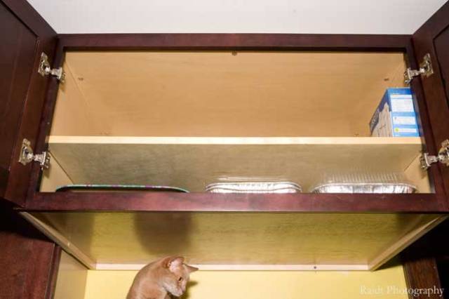 Kitchen Cabinets After